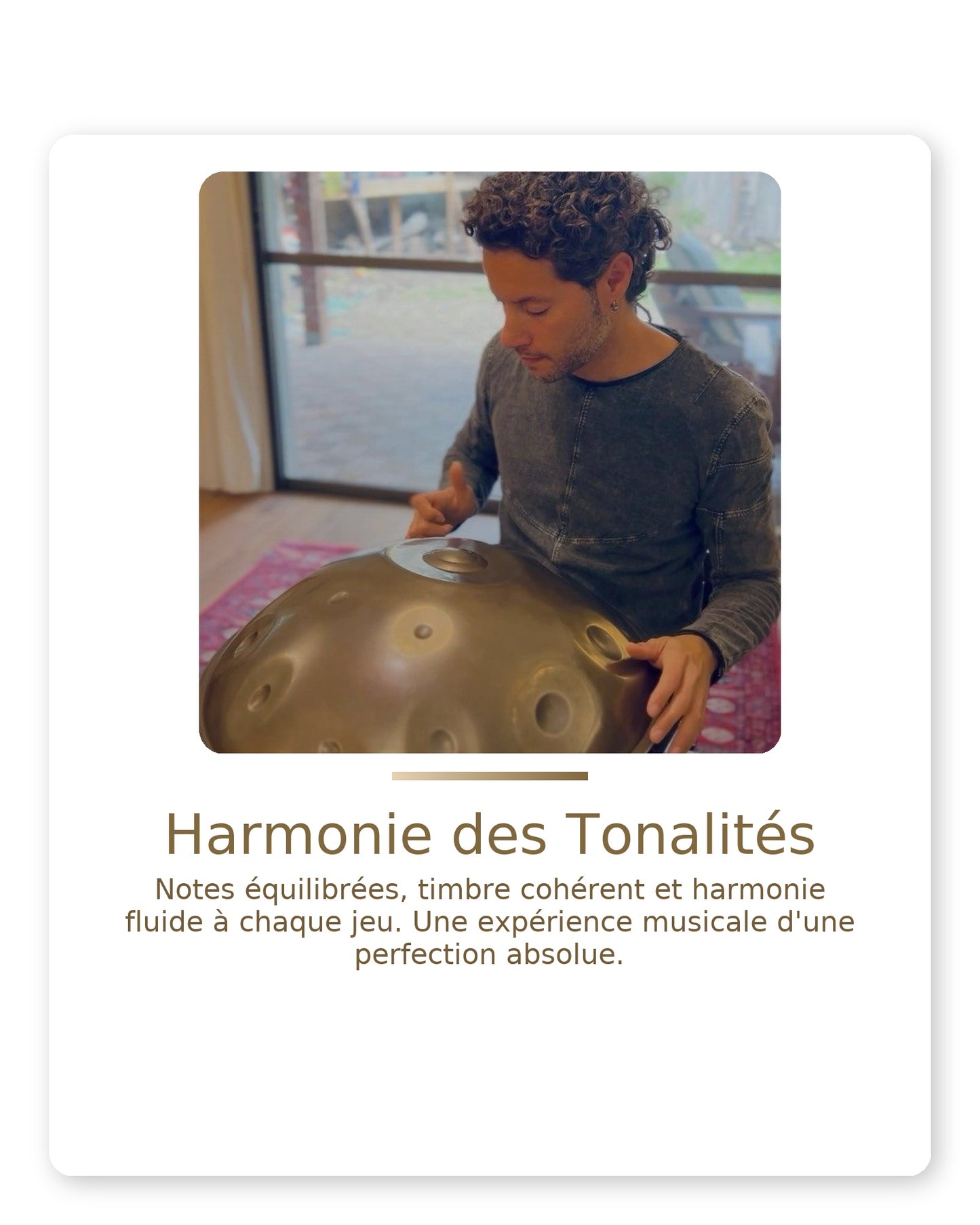 Handpan LYVOR 9/10/12 notes - Ré mineur